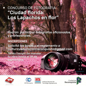 Lee más sobre el artículo Presentaron un concurso de fotografía y de pintura