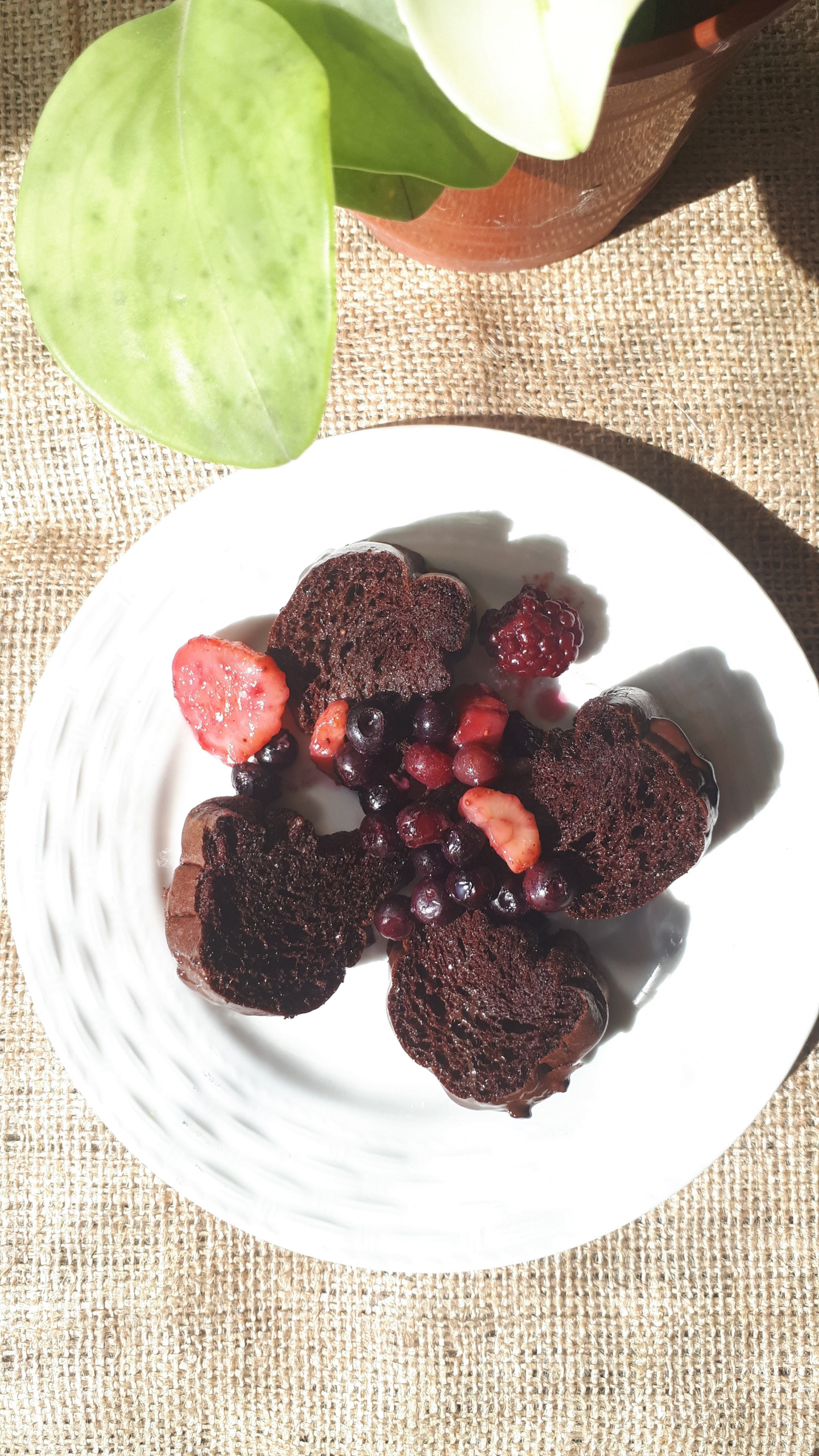 Lee más sobre el artículo Lupita Almacén Naturista nos enseña a hacer una Torta de chocolate