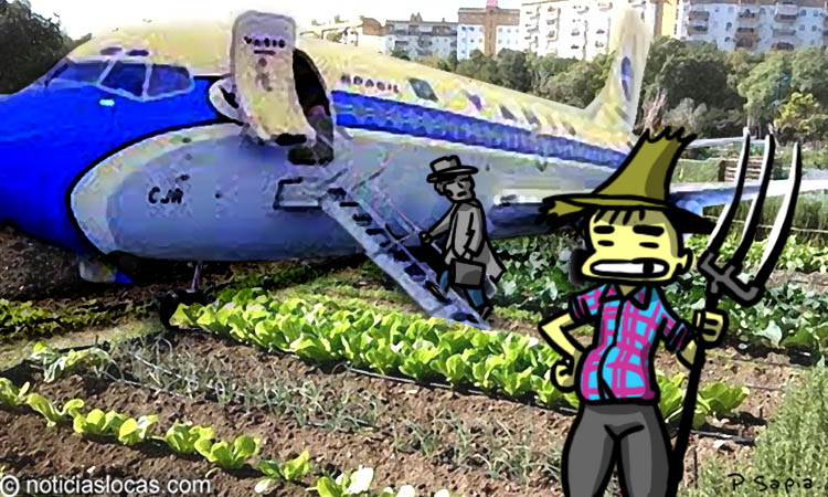 Lee más sobre el artículo Una granja en medio del segundo aeropuerto más grande de Japón