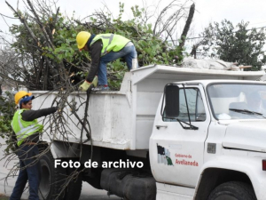Lee más sobre el artículo Vecinos del sector 1 B podrán sacar ramas y cacharros este martes 1