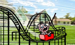 Lee más sobre el artículo Construyó una montaña rusa para su abuelo de 83 años