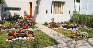 Lee más sobre el artículo Ganadores del concurso «Mejor Jardín» 2020