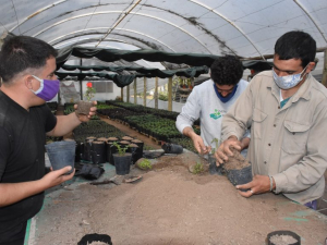 Lee más sobre el artículo El Vivero Inclusivo te espera este sábado