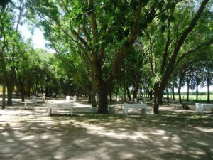 Lee más sobre el artículo Camping Municipal Los Tatané informa días y horarios habilitados