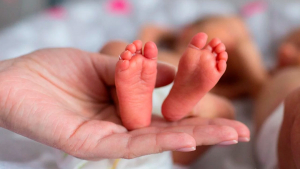 Lee más sobre el artículo Semana del Prematuro en el Hospital Central de Reconquista