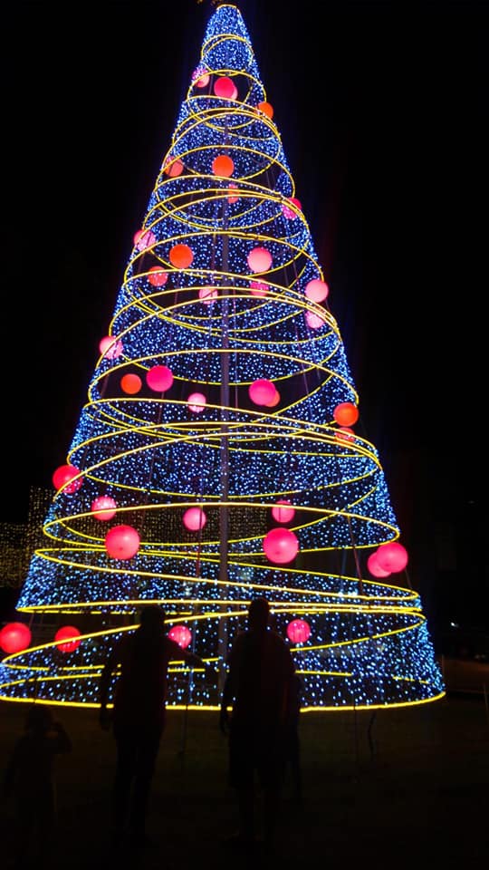 Lee más sobre el artículo Avellaneda encendió su gran árbol navideño