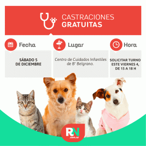 Lee más sobre el artículo Castración de mascotas este sábado 5 de diciembre