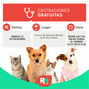 Lee más sobre el artículo Este sábado habrá castraciones de mascotas