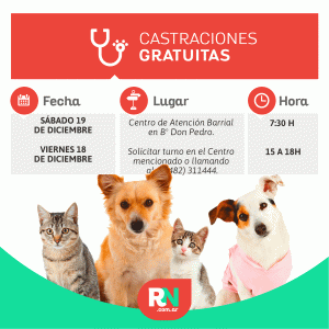 Lee más sobre el artículo Este sábado castraciones de mascotas