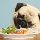 10 alimentos tóxicos que no debés darle a tu perro