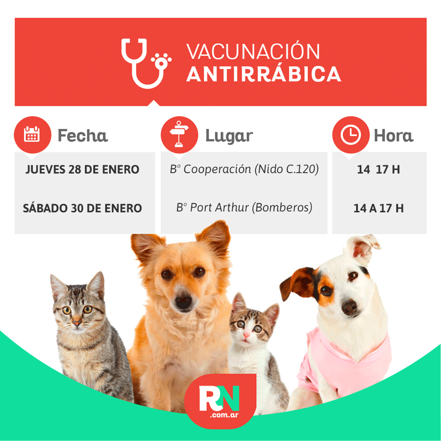 Lee más sobre el artículo Campaña de Vacunación Antirrábica en Avellaneda