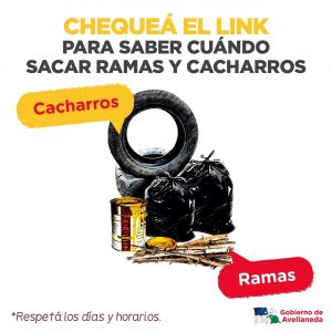 Lee más sobre el artículo Avellaneda: ¿Cuándo sacar ramas y cacharros?