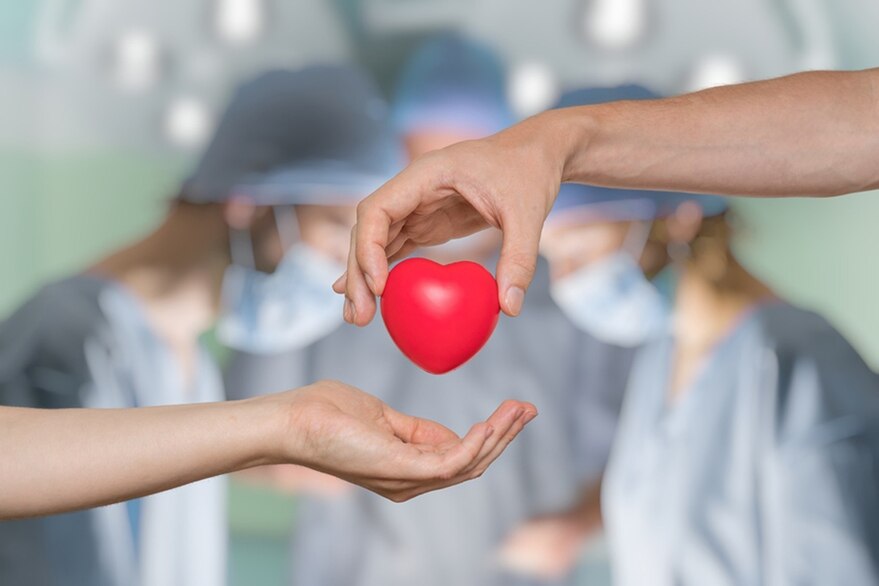 Lee más sobre el artículo Día Internacional del Trasplante de Órganos y Tejidos: por qué se celebra hoy y cuál es la tasa de donación
