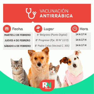 Lee más sobre el artículo Campaña de Vacunación Antirrábica