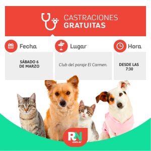 Lee más sobre el artículo Castración de mascotas: comienza en el Paraje El Carmen