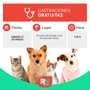 Lee más sobre el artículo Castraciones de mascotas en Avellaneda Oeste