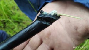 Lee más sobre el artículo Un acto de vandalismo dejó sin servicio de Cable e Internet a una parte de la población de Avellaneda y aledaños