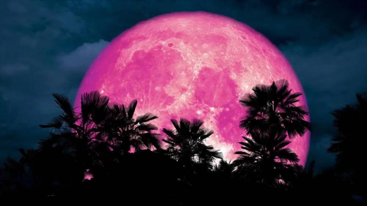Lee más sobre el artículo Luna rosa: por qué será más grande y brillosa de lo habitual