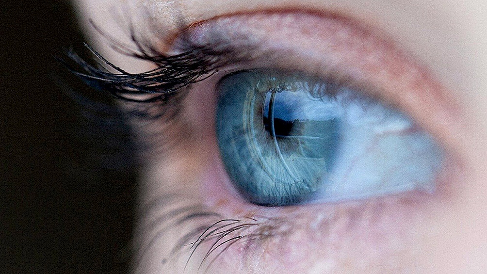 Lee más sobre el artículo Qué es la retinopatía de Stargardt