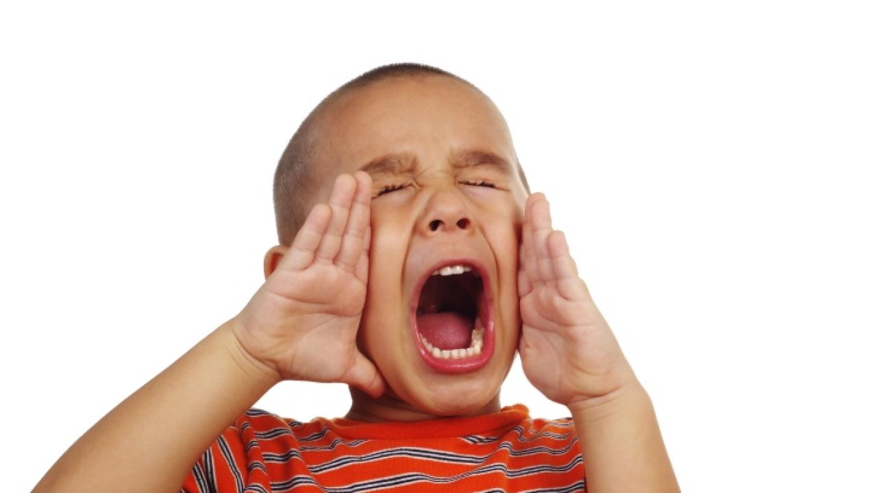 Lee más sobre el artículo Nuevo estudio: cuáles son las 6 emociones que los humanos expresamos a gritos