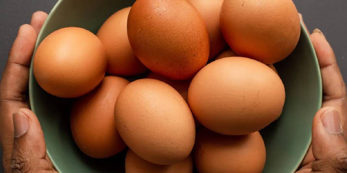 Lee más sobre el artículo Por qué flotan los huevos que no son frescos ( no los comas)