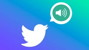 Lee más sobre el artículo Los mensajes directos de voz llegaron a Twitter