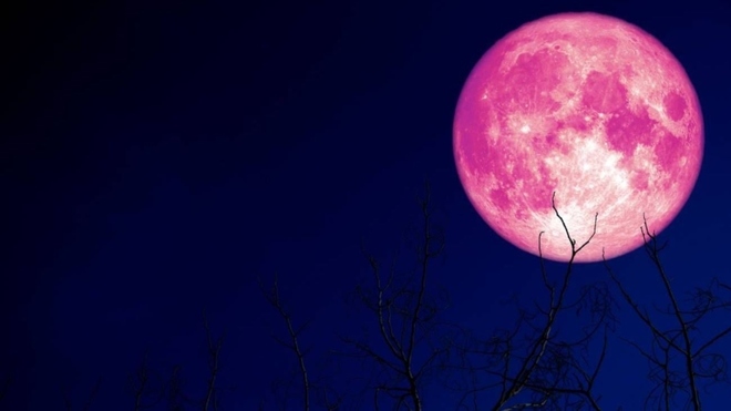 Lee más sobre el artículo Luna de Fresa: cuándo se verá la última súper luna del 2021