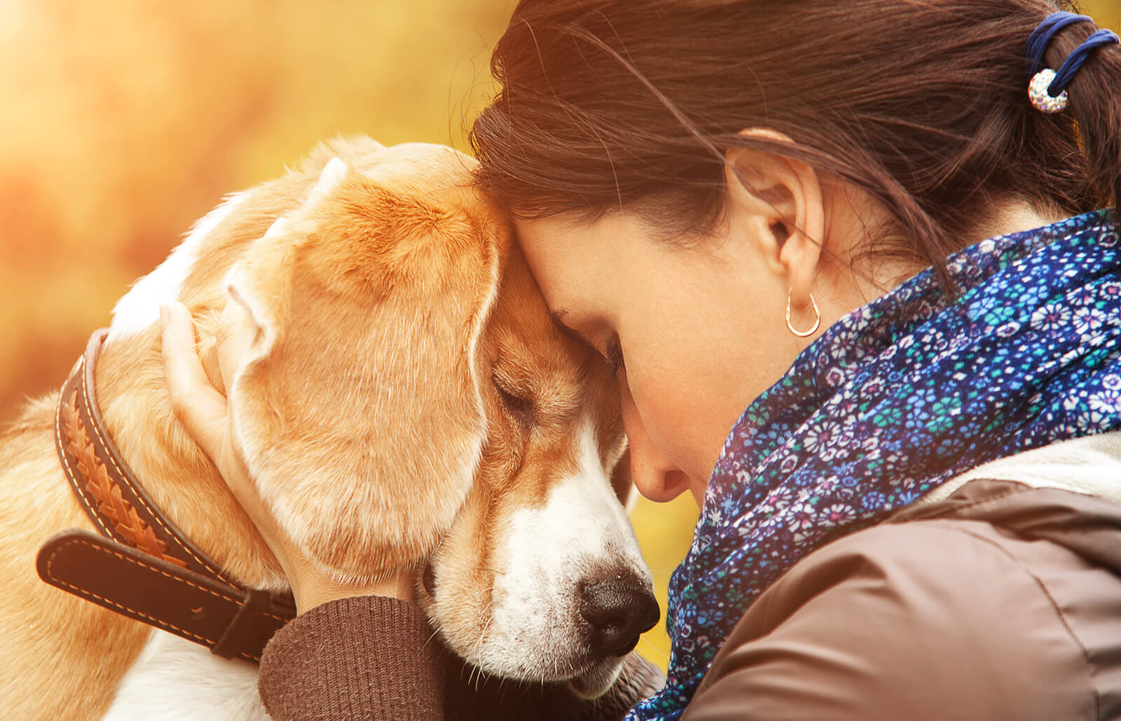 Lee más sobre el artículo ¿Los perros saben cuándo estás triste?