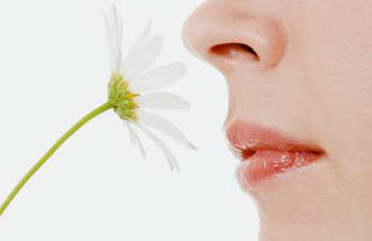 Lee más sobre el artículo ¿Cuántos olores podemos detectar según la ciencia?