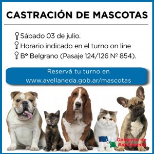 Lee más sobre el artículo Castración de mascotas en Bº Belgrano