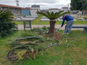 Lee más sobre el artículo Romang: Cementerio municipal