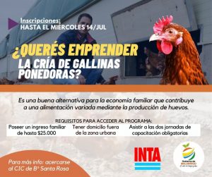 Lee más sobre el artículo ¿Querés emprender la Cría de Gallinas Ponedoras?