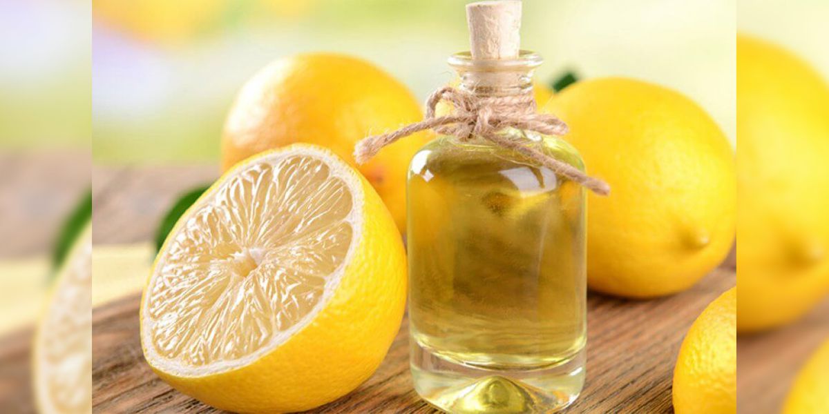 Lee más sobre el artículo Cómo preparar un un ambientador casero de limón en cuatro pasos