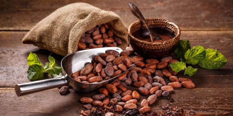 Lee más sobre el artículo Día Mundial del Cacao: cuáles son los beneficios de este antioxidante