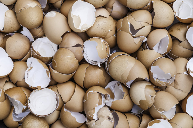 Lee más sobre el artículo Cáscara de huevo: qué beneficios tiene y cómo utilizarla para reducir arrugas
