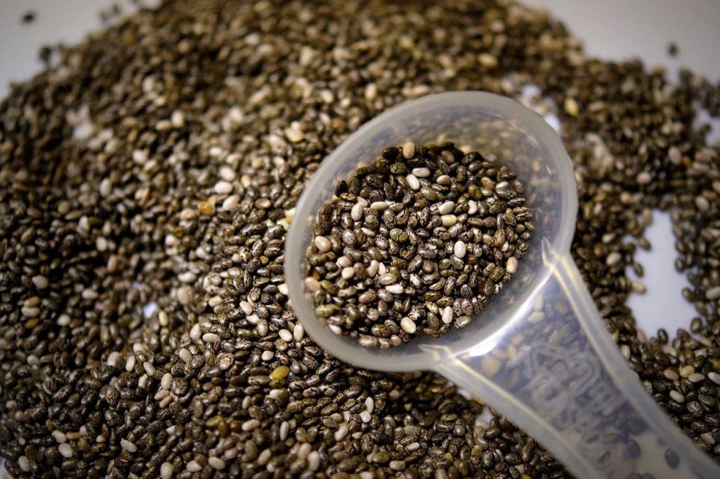 Lee más sobre el artículo Por qué incluir la semilla de chía a la dieta saludable