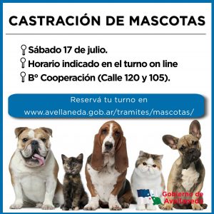 Lee más sobre el artículo Castraciones de mascotas en Avellaneda