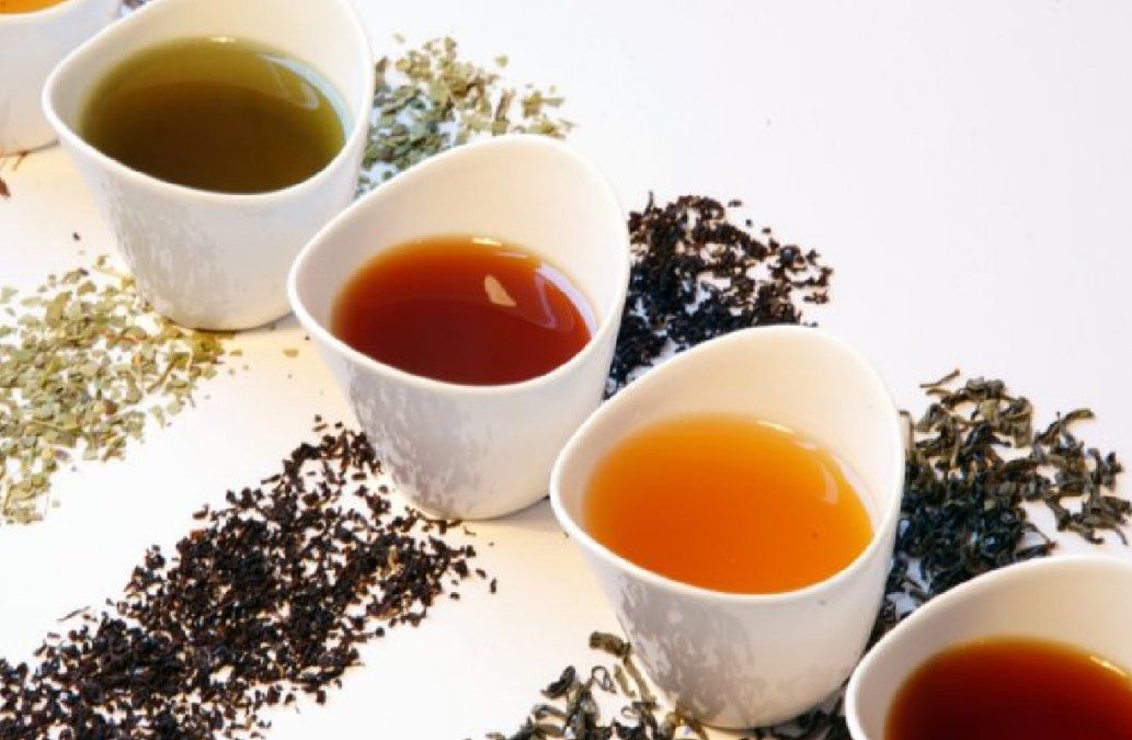 Lee más sobre el artículo Cuáles son las diferencias entre el té verde, rojo y negro