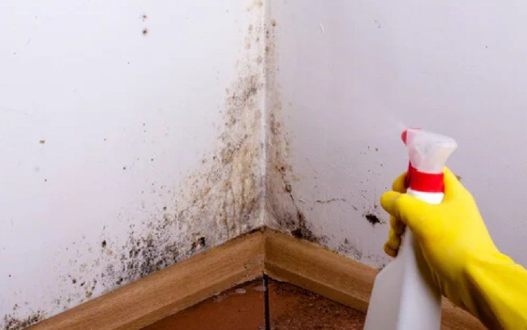 Lee más sobre el artículo Cómo eliminar la humedad de las paredes de tu casa