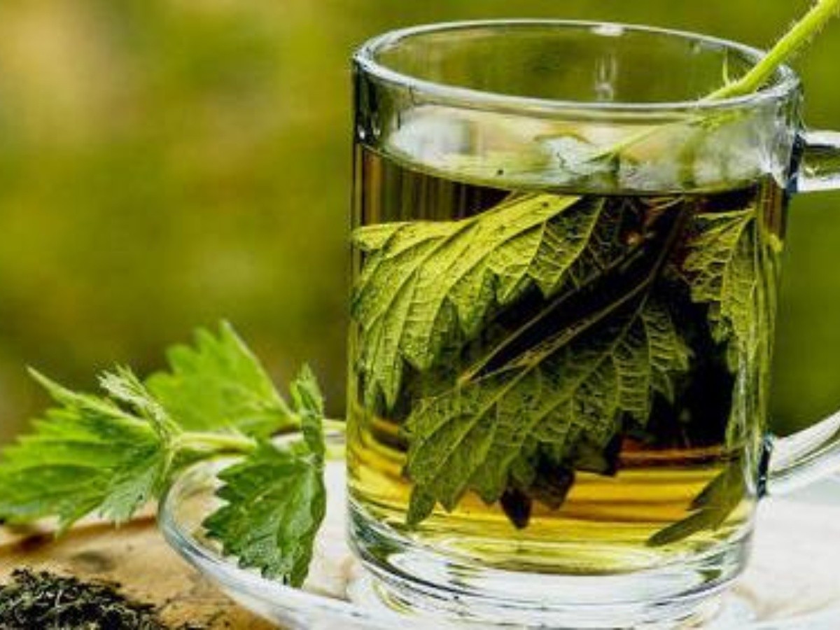 Lee más sobre el artículo Beneficios del té de perejil para bajar los triglicéridos
