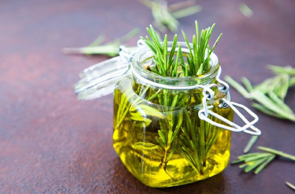 Lee más sobre el artículo Cómo hacer aceite de romero en casa y beneficios