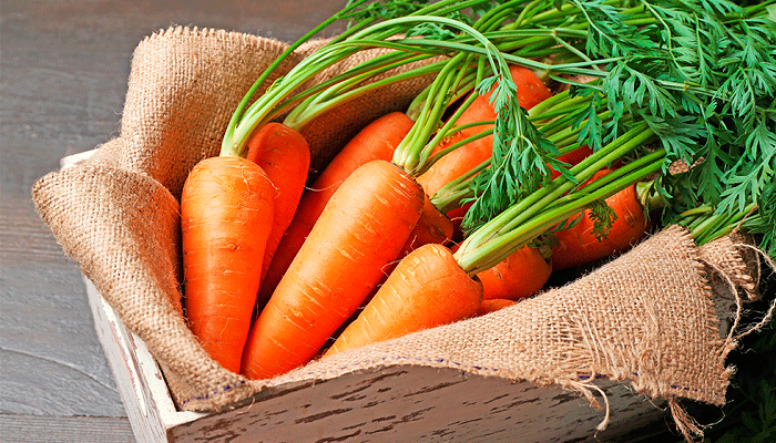 Lee más sobre el artículo Qué vitaminas aporta la zanahoria y cuáles son sus beneficios