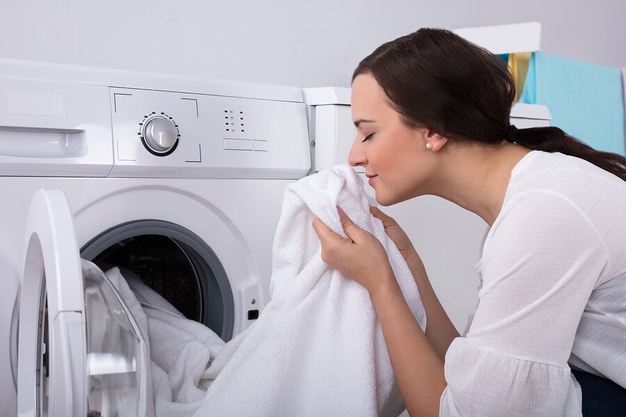 Lee más sobre el artículo 7 trucos sencillos para sacarle el olor a humedad a la ropa