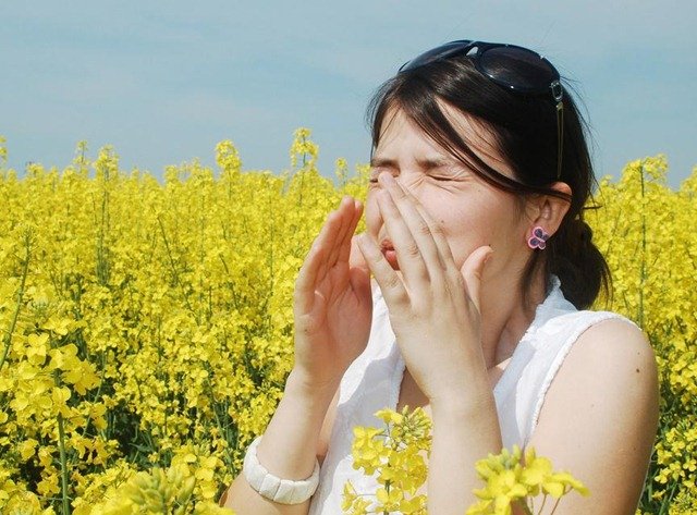 Lee más sobre el artículo Consejos para prevenir la alergia primaveral