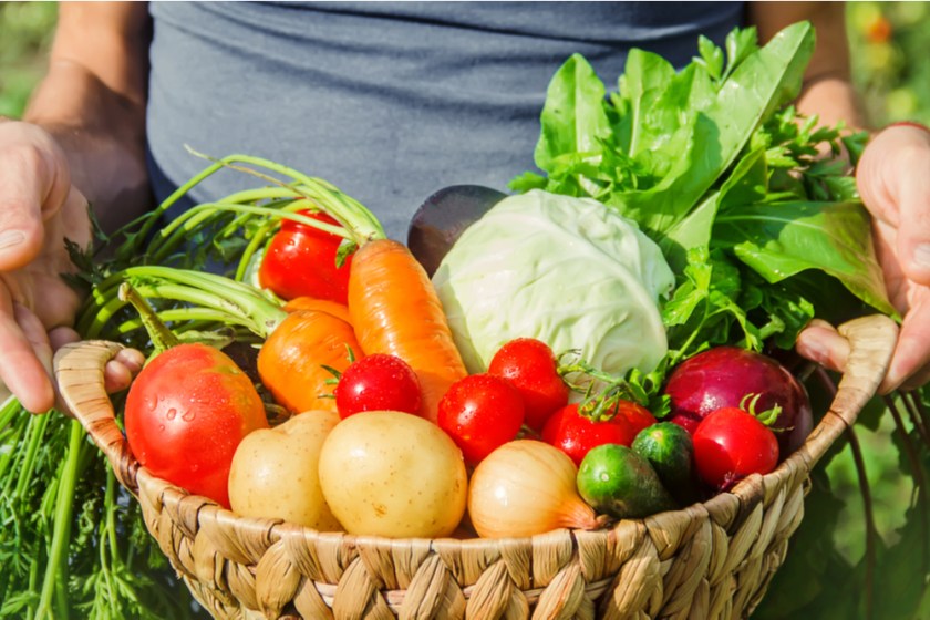 Lee más sobre el artículo ¿Por qué comer vegetales ayuda a combatir la hipertensión arterial?