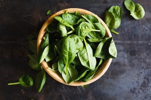 Lee más sobre el artículo La albahaca una gran aliada de la salud