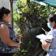 Prevención del Dengue: Avellaneda trabaja en la concientización y descacharrados de los domicilios