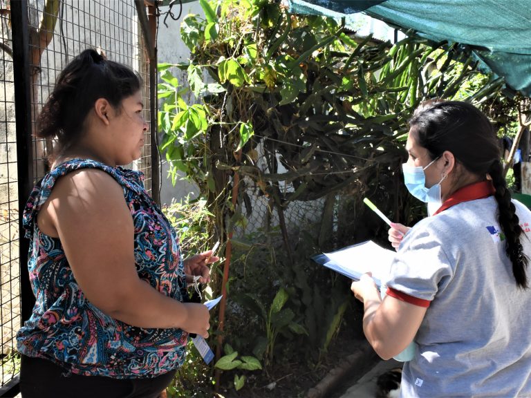 Lee más sobre el artículo Prevención del Dengue: Avellaneda trabaja en la concientización y descacharrados de los domicilios