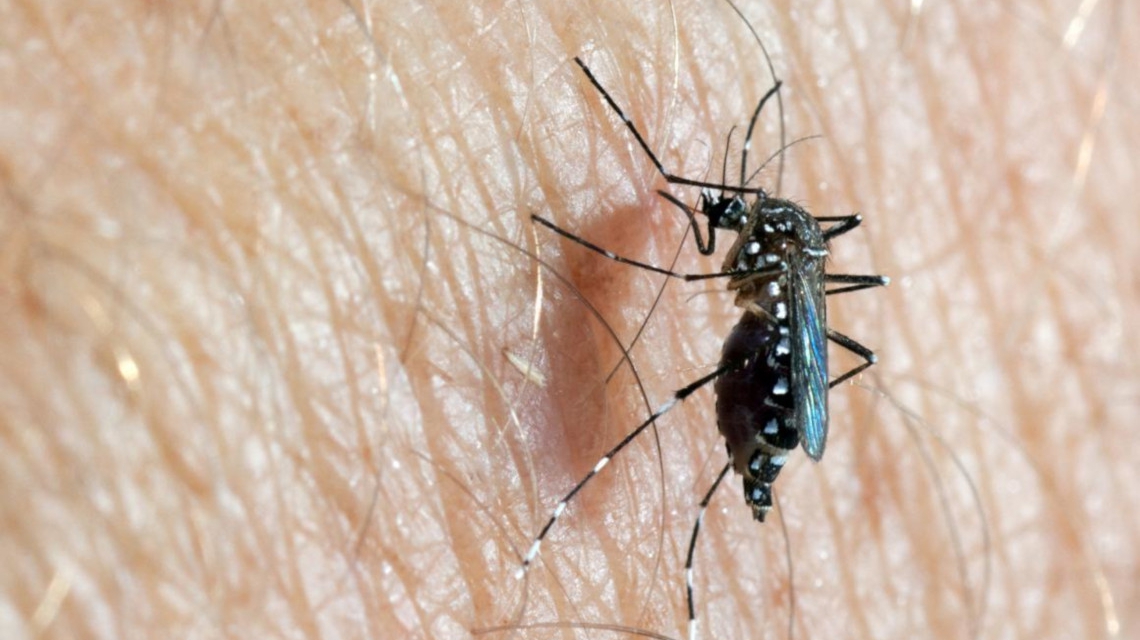 Lee más sobre el artículo Brindan recomendaciones para la prevención del Dengue con acciones domiciliarias y territoriales