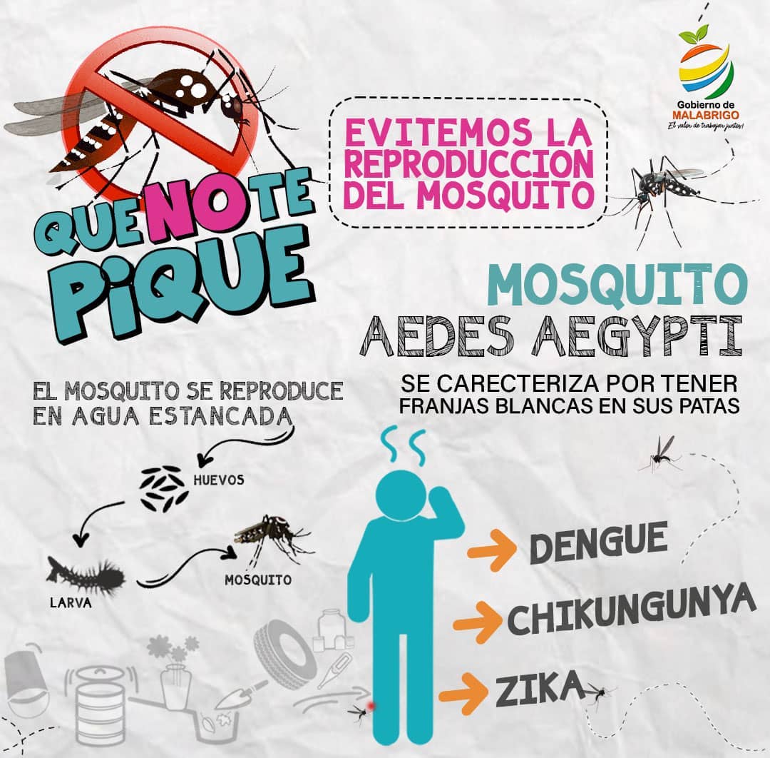Lee más sobre el artículo Campaña de prevención del dengue en Malabrigo